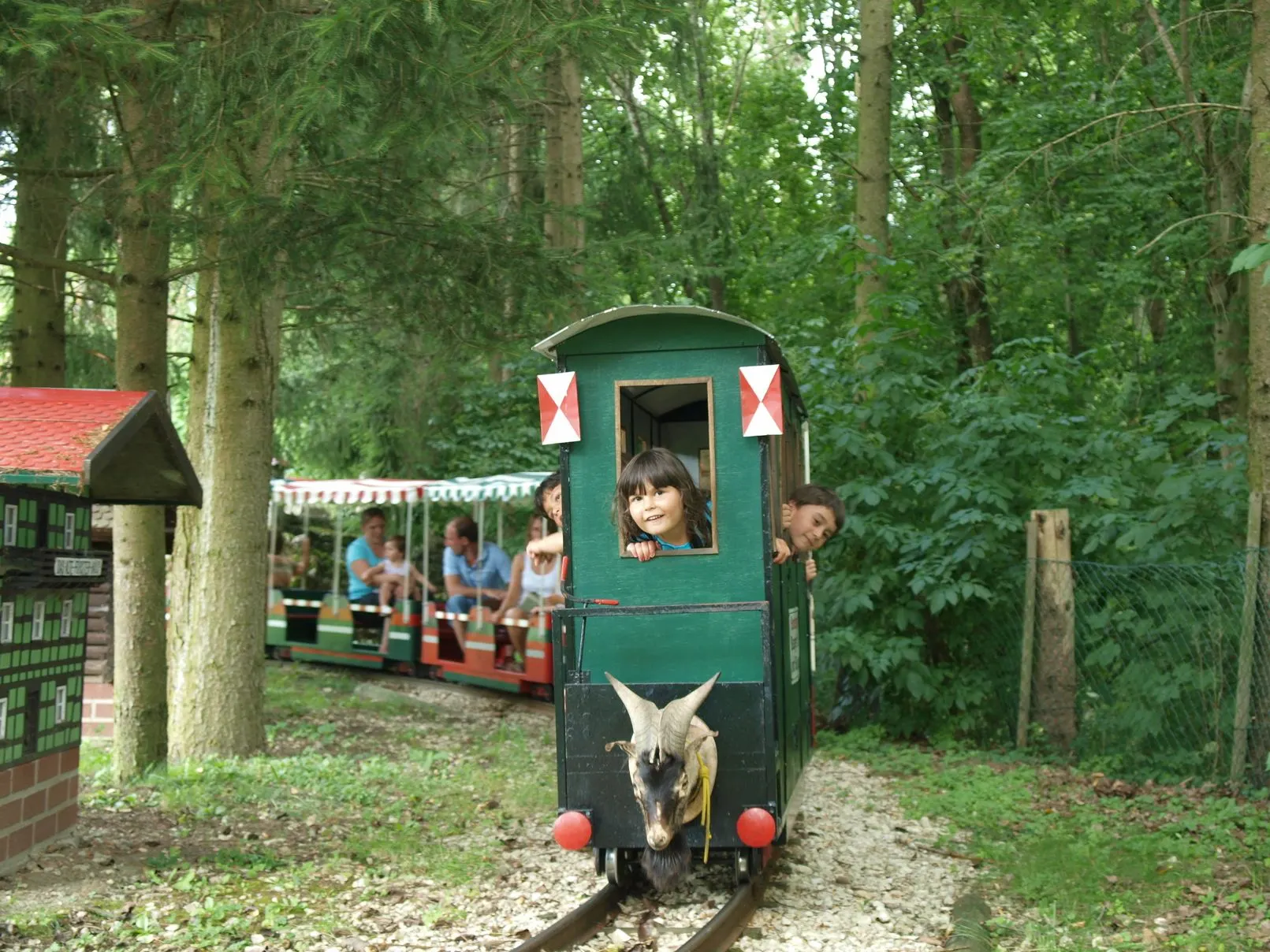 Die kleine Eisenbahn fährt durch den Wald