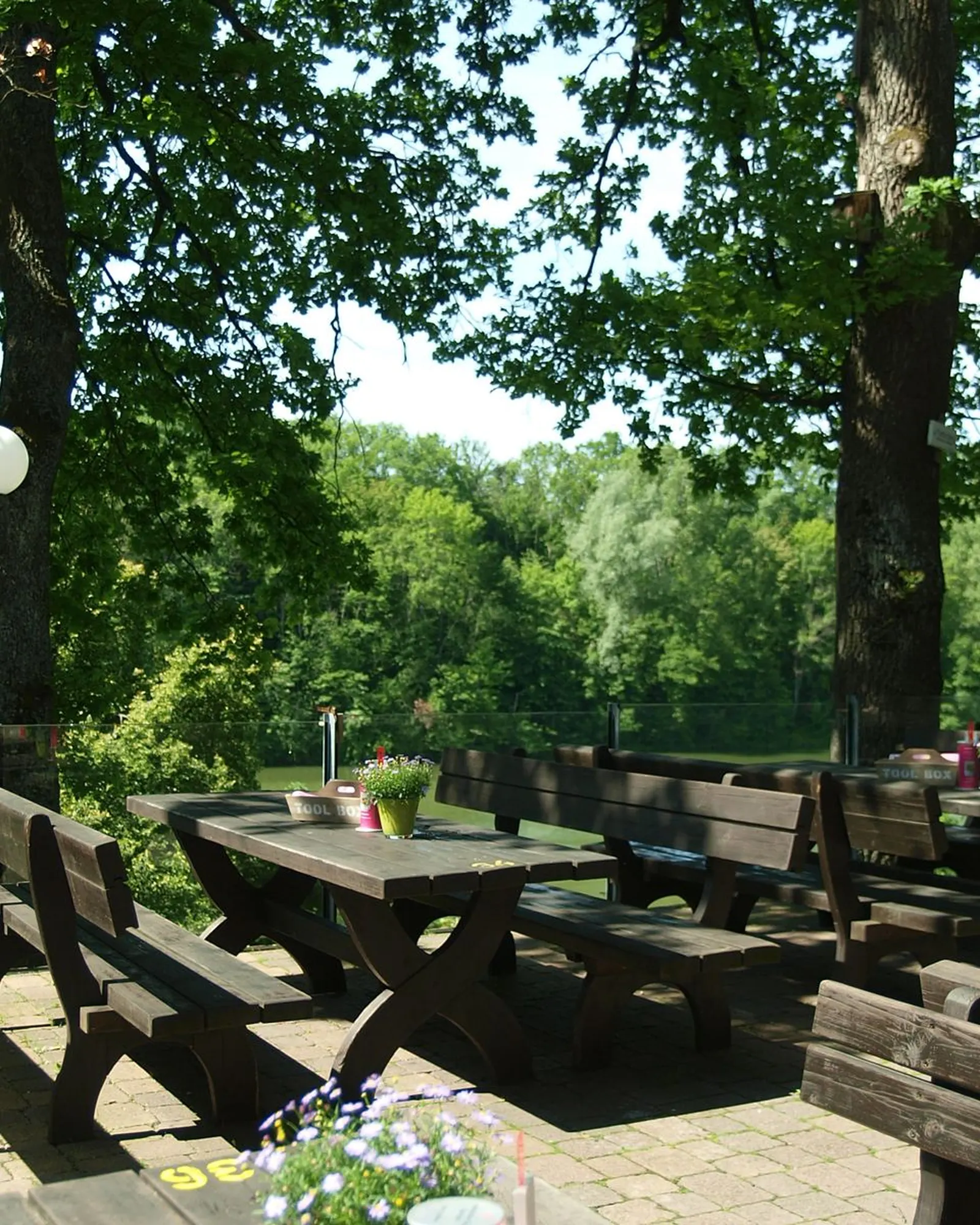 Seeterrasse unter alten Bäumen