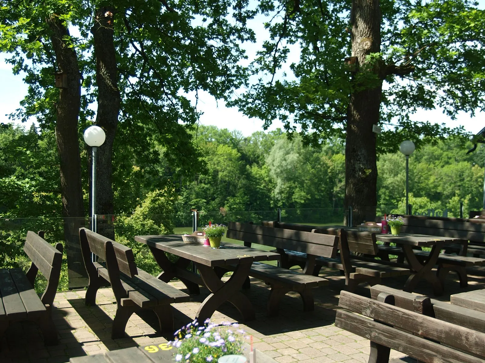 Seeterrasse der Waldschenke unter alten Bäumen