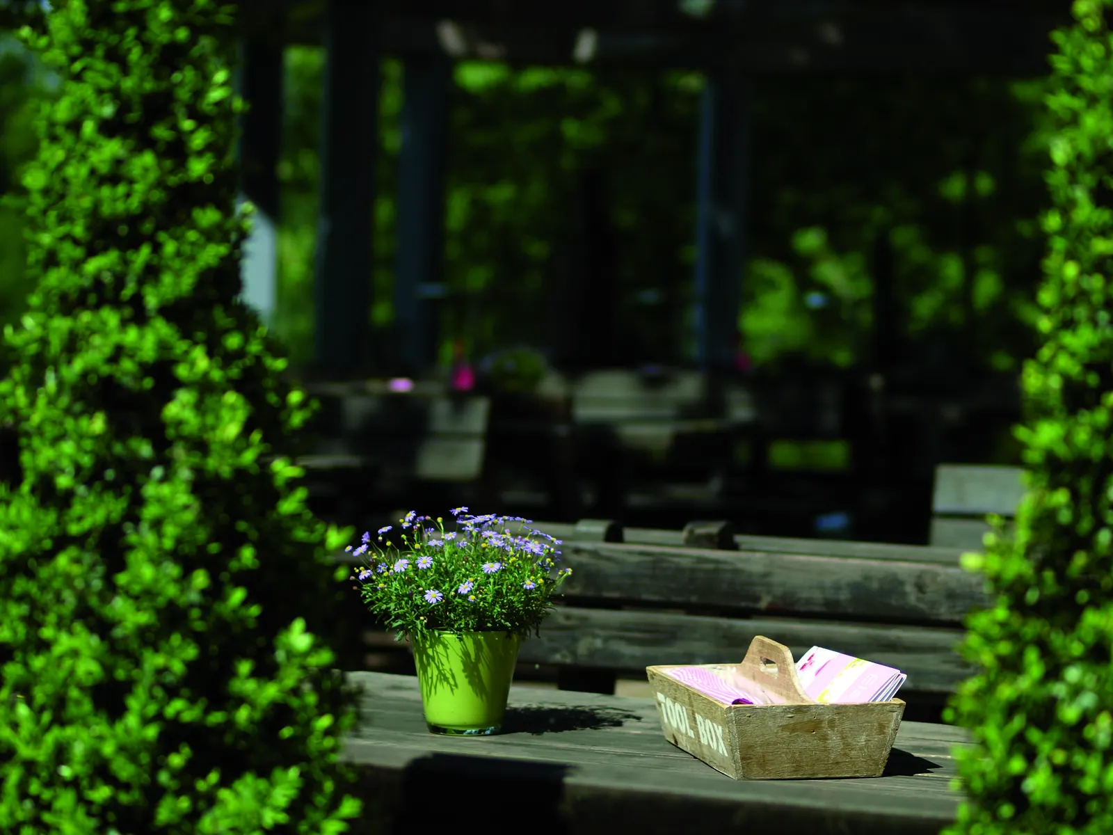 Terrasse im Grünen